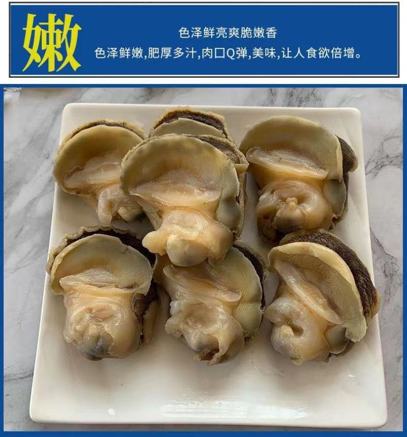 新鲜冷冻玉螺肉去内脏深海水产贝类海螺肉海螺肉商用批发