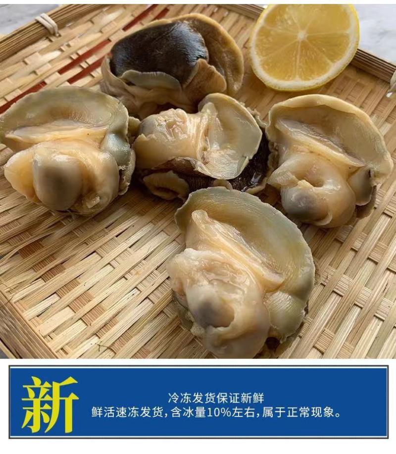 新鲜冷冻玉螺肉去内脏深海水产贝类海螺肉海螺肉商用批发