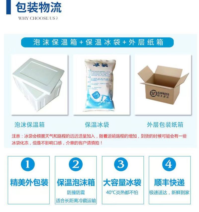 新鲜冷冻玉螺肉去内脏深海水产贝类海螺肉海螺肉商用批发