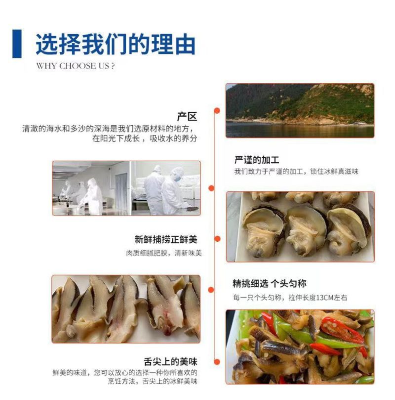 新鲜冷冻玉螺肉去内脏深海水产贝类海螺肉海螺肉商用批发
