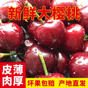 实力山东大樱桃一件代发电商平台对接美团多多供应仓大量现货供应