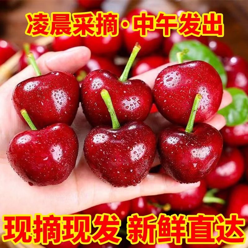 实力山东大樱桃一件代发电商平台对接美团多多供应仓大量现货供应