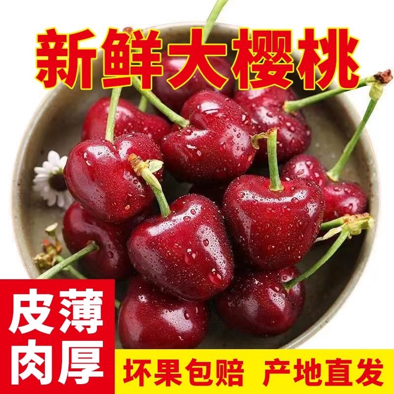 实力山东大樱桃一件代发电商平台对接美团多多供应仓大量现货供应
