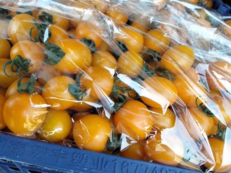 盘锦碱地柿子，一手货源，品类齐全，诚信合作，产地直发
