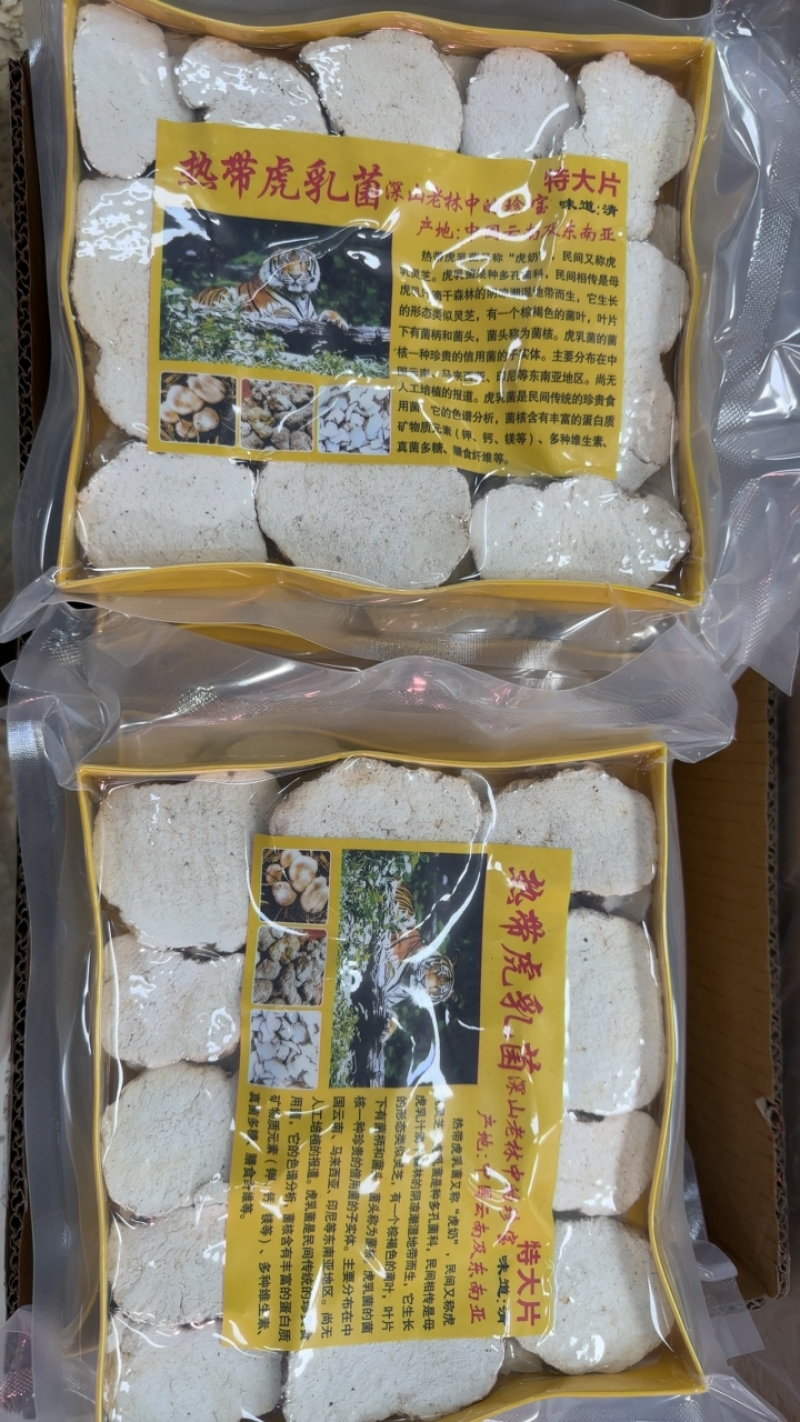 250g大片虎乳菌虎乳菇真空实惠款品质保证量大从优