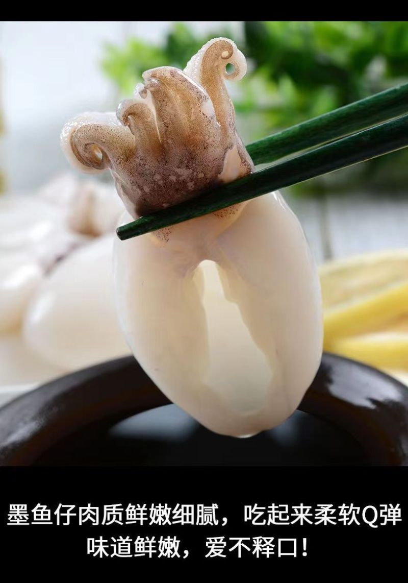 新鲜小墨鱼仔海捕活冻小乌贼海鲜水产花枝墨斗鱼小墨鱼包邮
