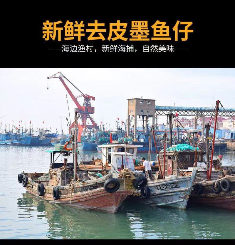 新鲜小墨鱼仔海捕活冻小乌贼海鲜水产花枝墨斗鱼小墨鱼包邮