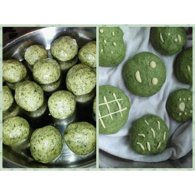 野生细叶艾草种子食用药用靳艾蒿青蒿香青团艾绒驱四季驱蚊草