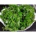 野生细叶艾草种子食用药用靳艾蒿青蒿香青团艾绒驱四季驱蚊草