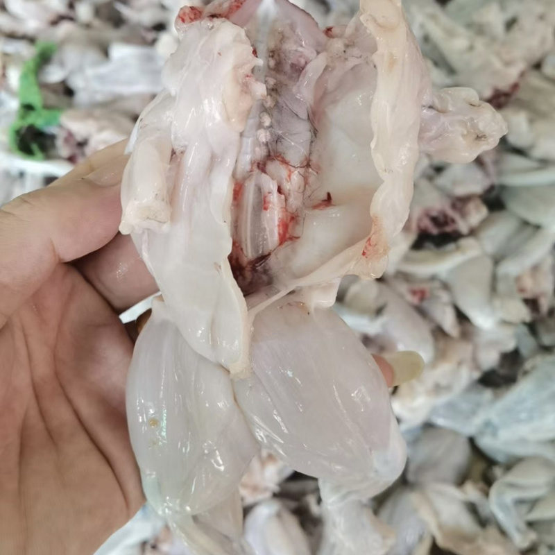 新鲜牛蛙现杀厂家直销冰鲜打包【100克起规格】量大价优