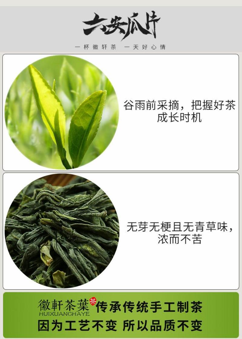 六安瓜片2023新茶叶正宗安徽雨前手工绿茶罐装浓