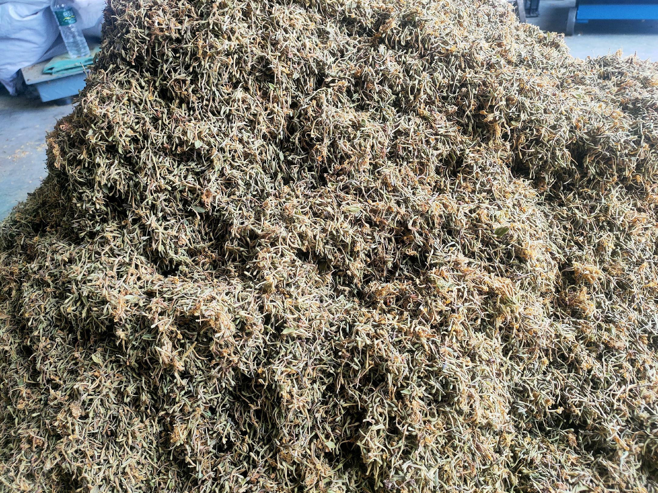 鹅梨帐中香使用场景图