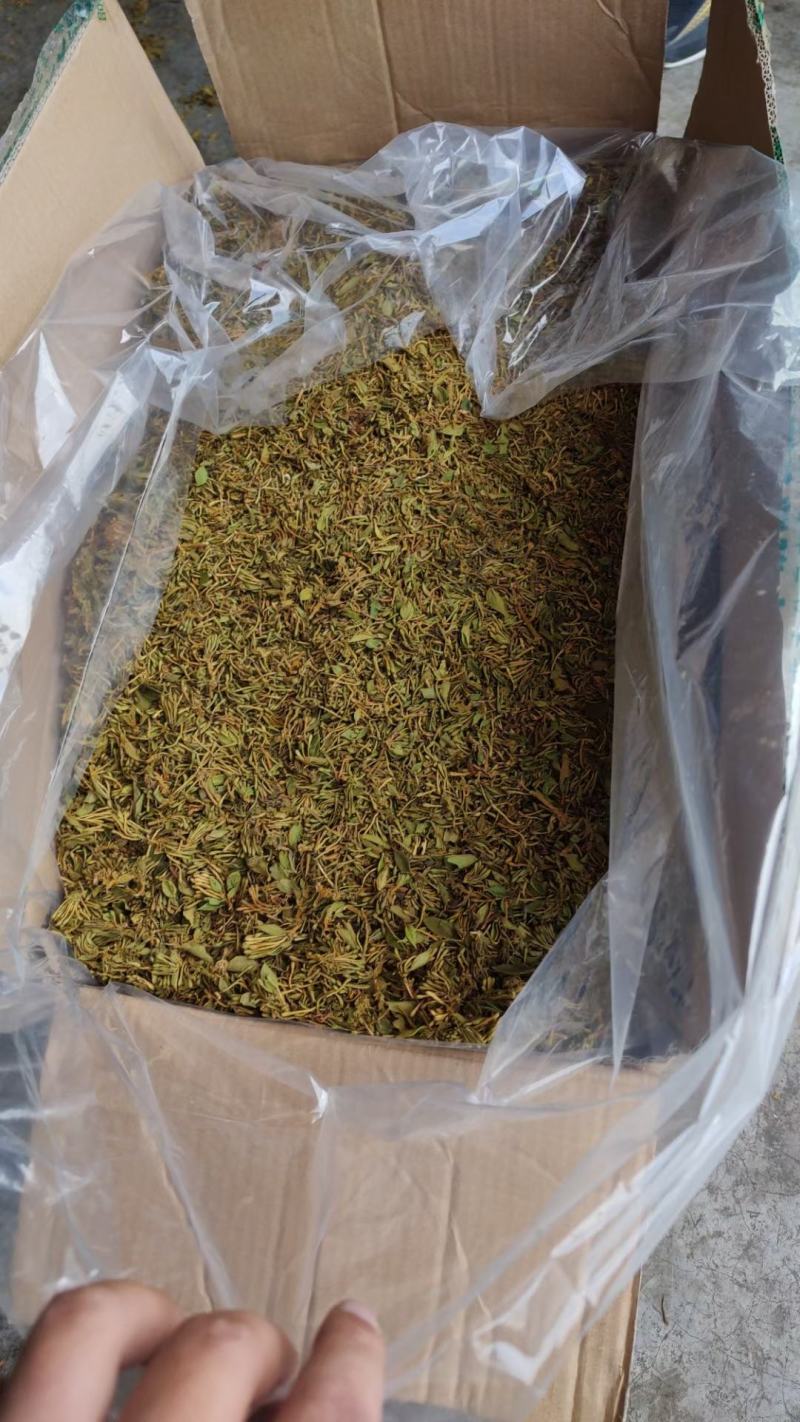 金银花统货