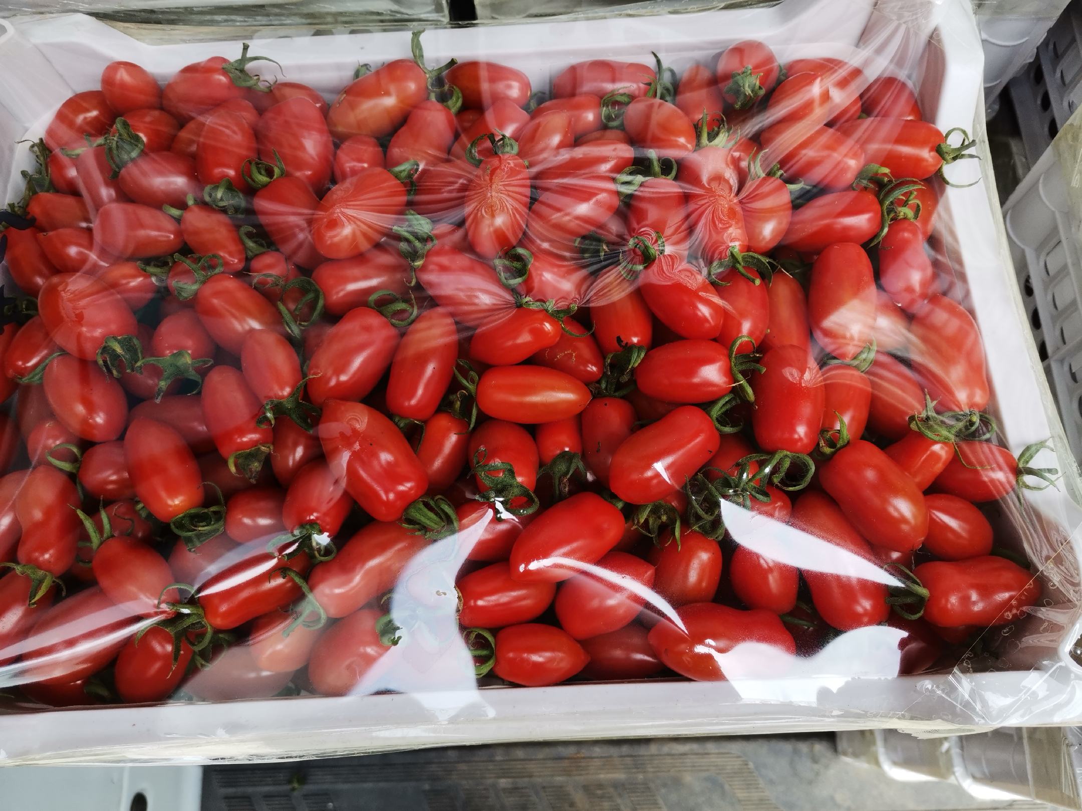 超市货架上的圣女果包装盒