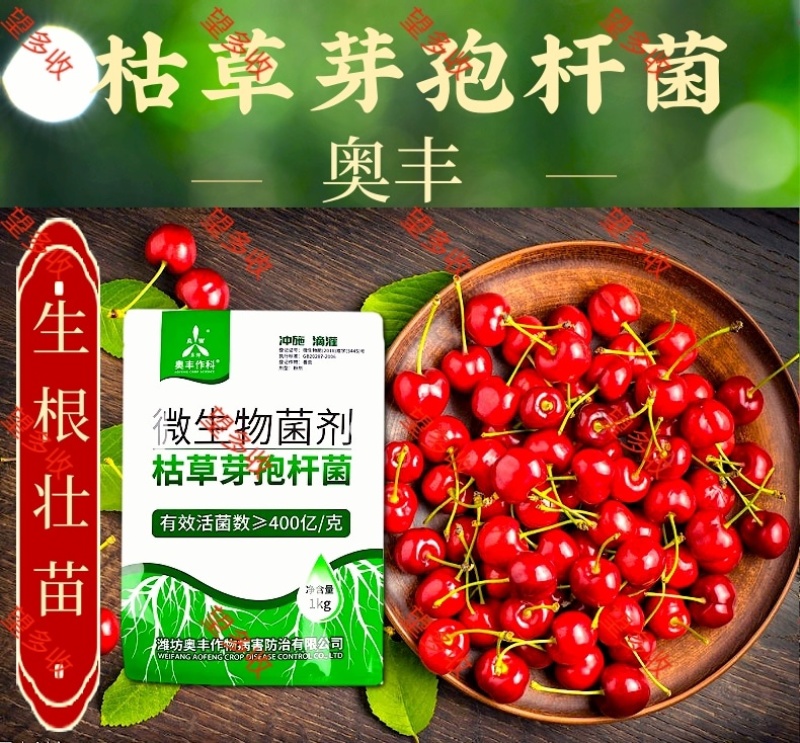 奥丰400亿枯草芽孢杆菌微生物菌剂生根壮苗抗重茬防根腐