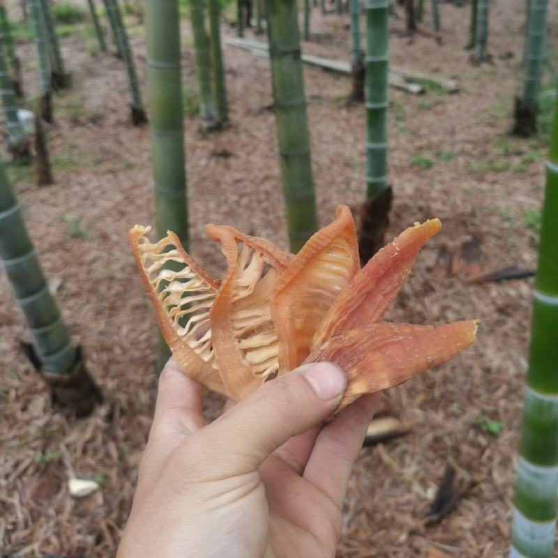 3寸笋片笋干，玉兰片
