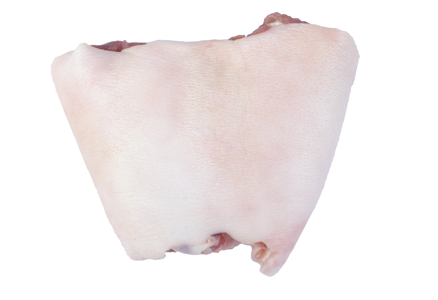 白芷炖猪肉成品图 白芷炖猪肉成品图