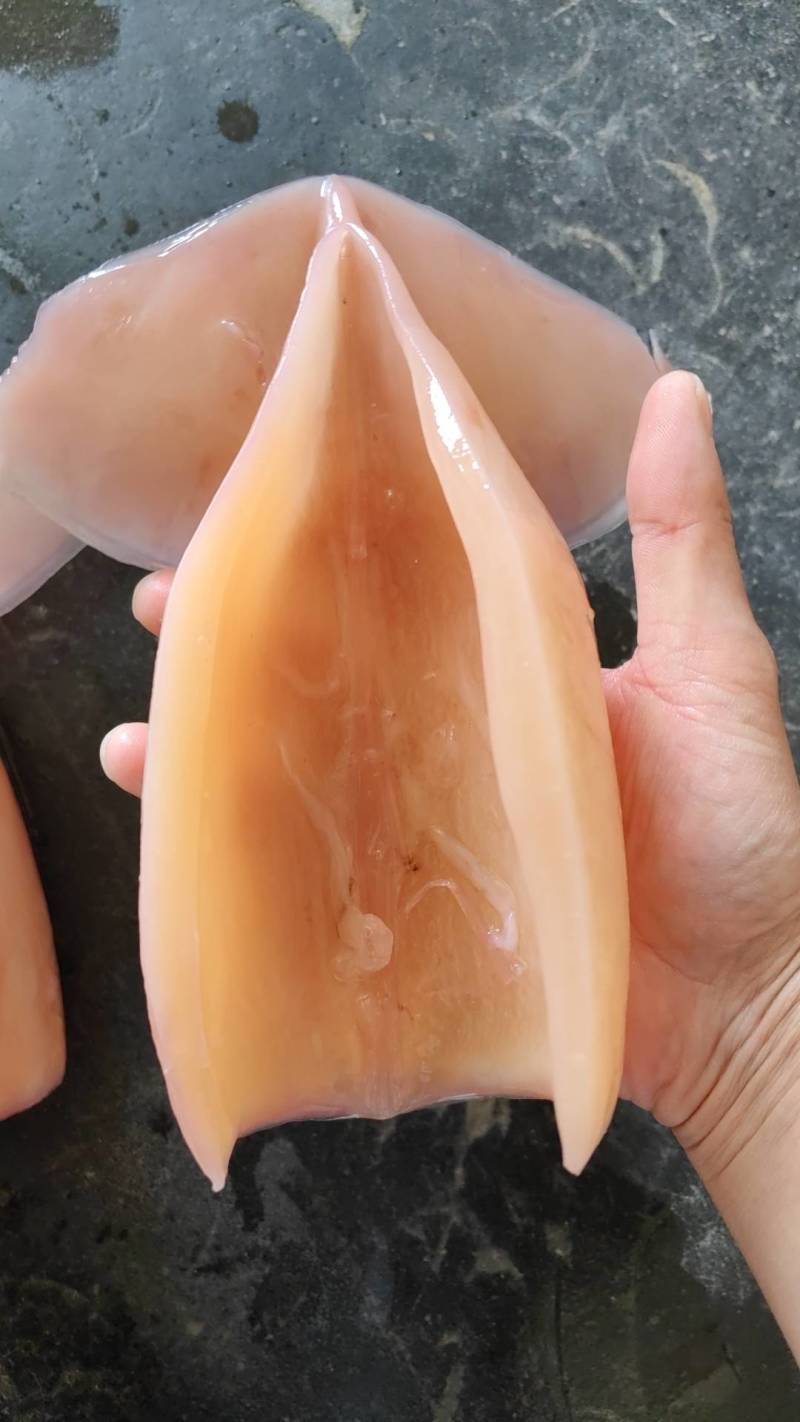 鱿鱼筒，鱿鱼片，鱿鱼花，干鱿鱼