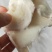 鱿鱼脖子