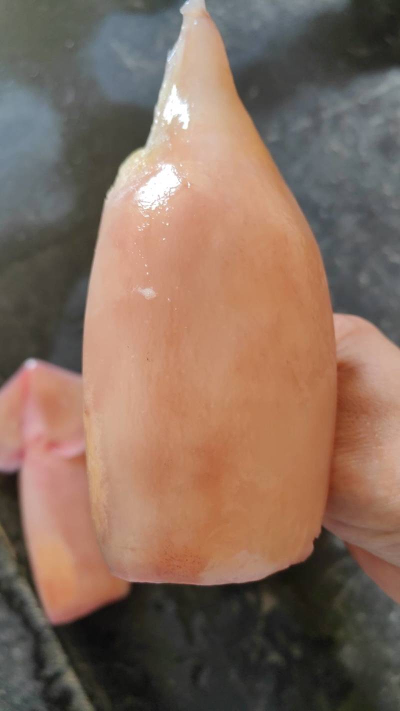 鱿鱼筒，鱿鱼片，鱿鱼花，干鱿鱼