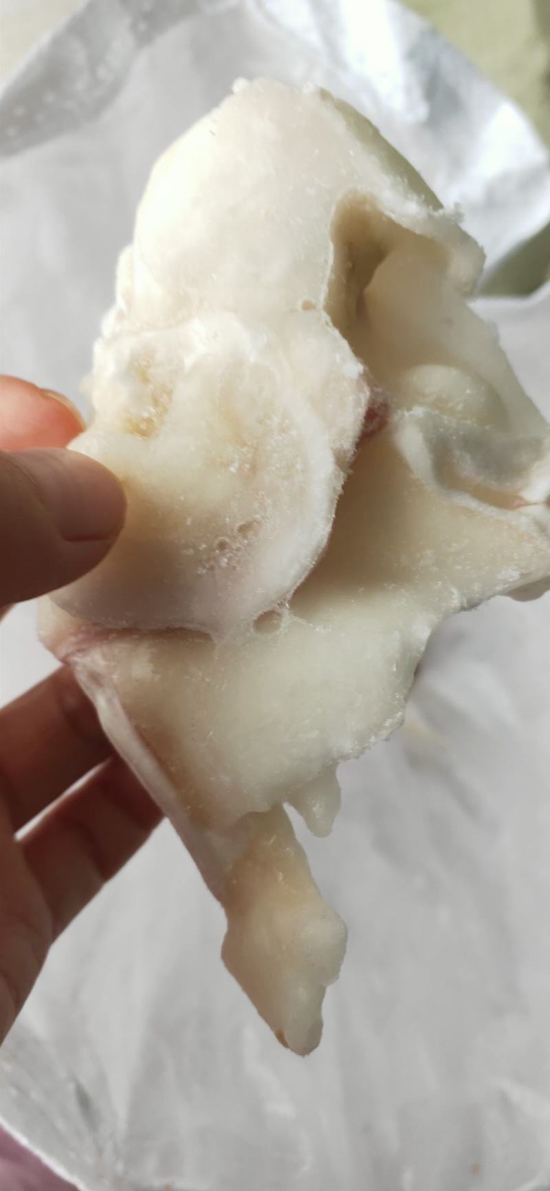 鱿鱼脖子