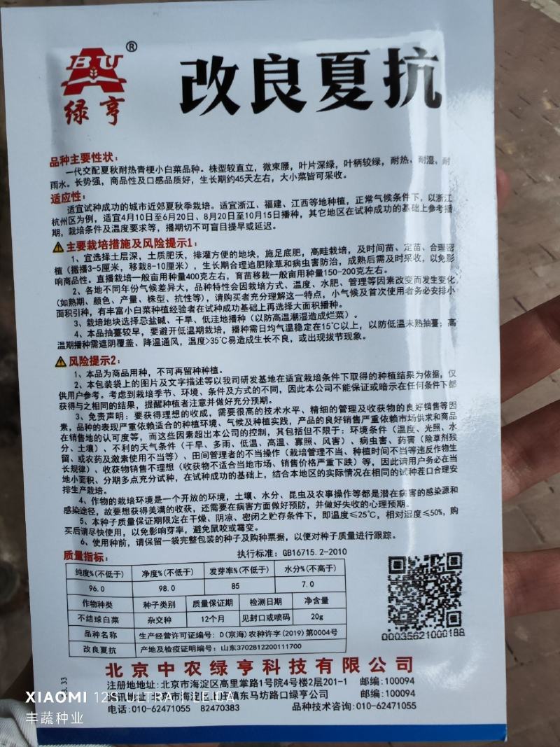 改良夏抗青菜种子，20克