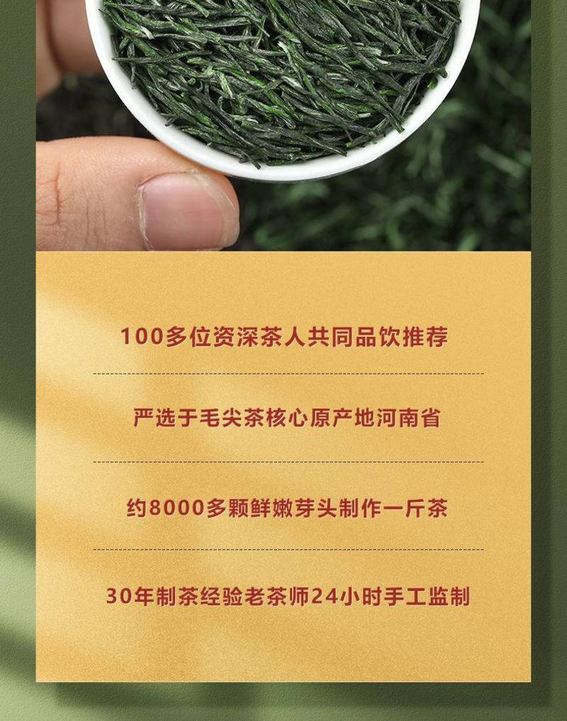 毛尖茶叶2023新茶雨前春茶浓香型绿茶嫩芽耐泡型