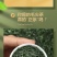毛尖茶叶2023新茶雨前春茶浓香型绿茶嫩芽耐泡型