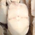 鳕鱼