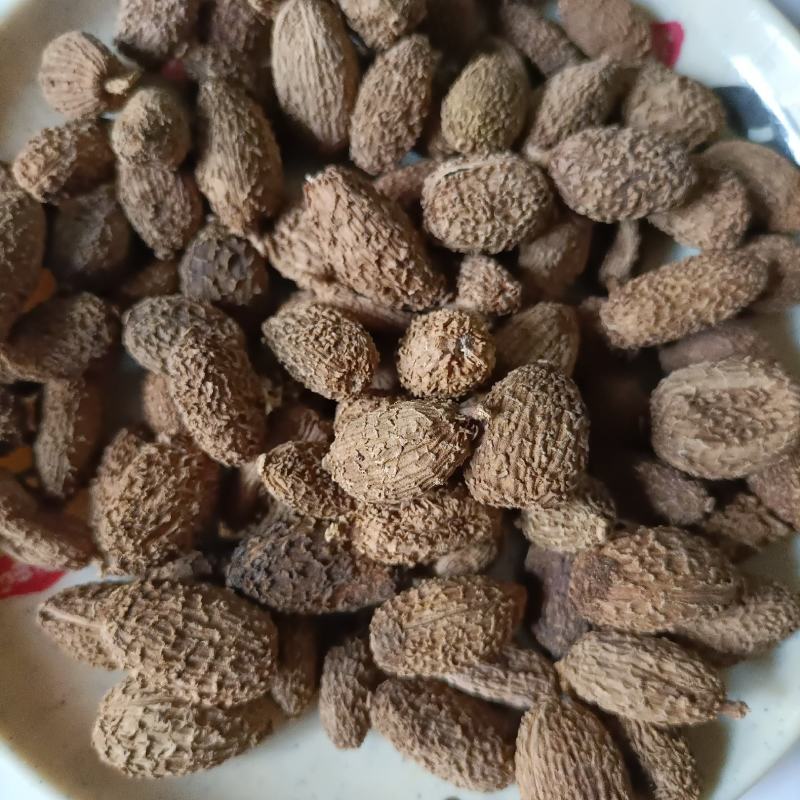 砂仁批发砂仁各种规格砂仁新货