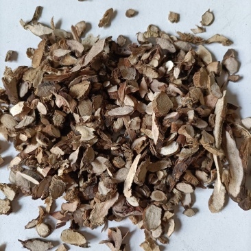 石菖蒲批发石菖蒲新货石菖蒲一公斤包邮
