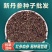 中药材丹参种籽野生丹参种子品质保证出芽率高欢迎老板来电