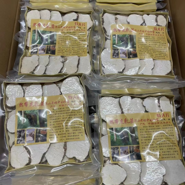 250g大片虎乳菌虎乳菇