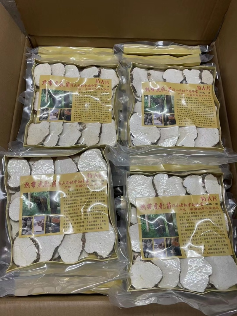 250g大片虎乳菌虎乳菇