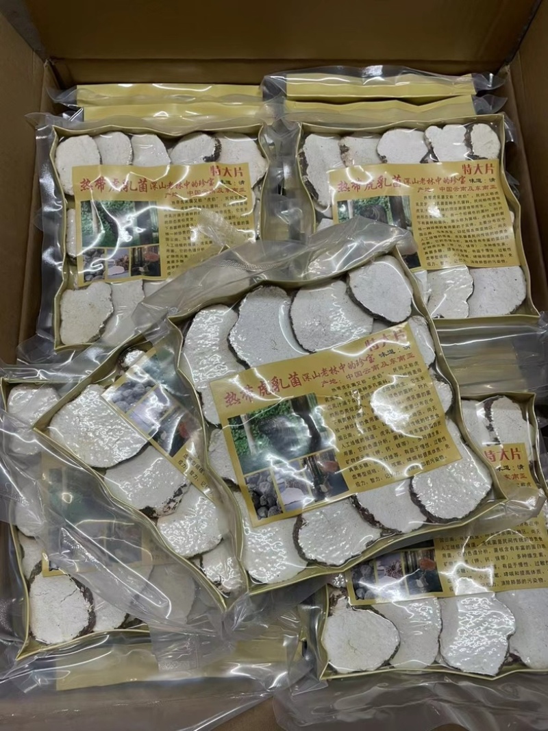 250g大片虎乳菌虎乳菇