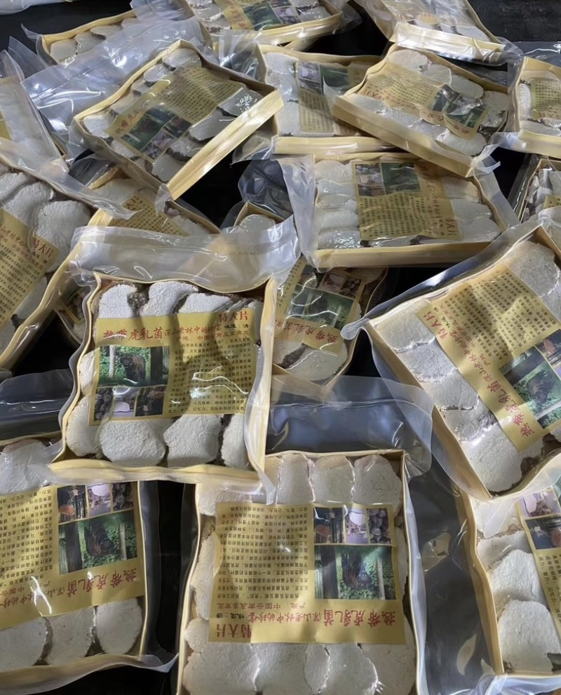 250g大片虎乳菌虎乳菇