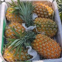 菠萝-海南菠萝-产地、代收、！保质保量