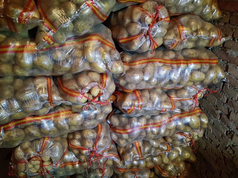 现代化马铃薯加工厂内景，展示226土豆加工流程