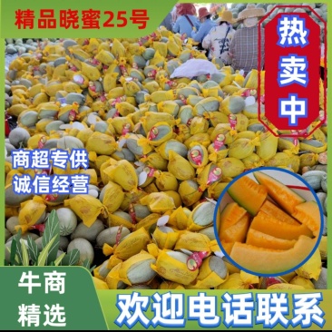 （热销）海南精品海沙25号晓蜜，对接各大市场，商超，社区