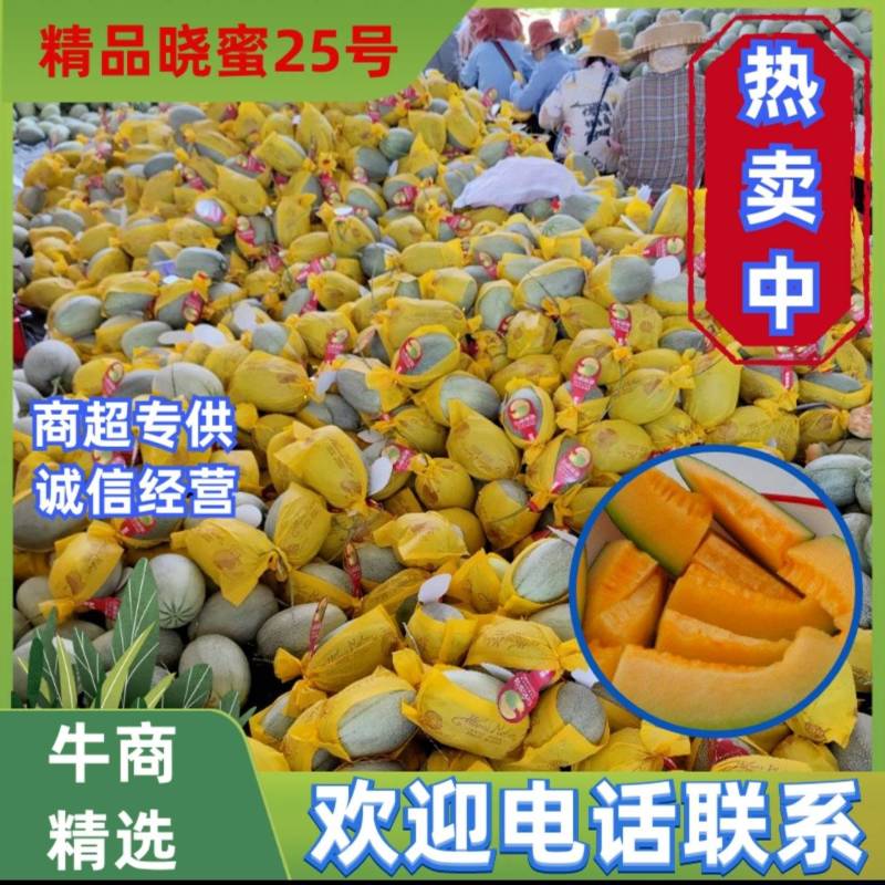 （热销）海南精品海沙25号晓蜜，对接各大市场，商超，社区