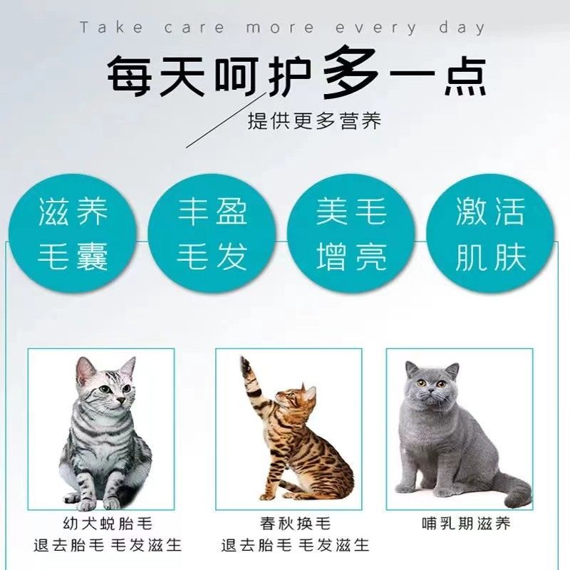 猫粮幼猫专用高蛋白营养增肥发腮不掉毛猫舍猫咪小猫成猫全价