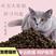 猫粮幼猫专用高蛋白营养增肥发腮不掉毛猫舍猫咪小猫成猫全价