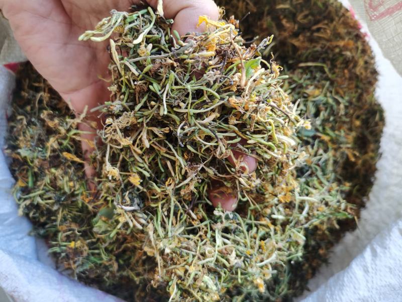 金银花，干货包邮，太阳晒干