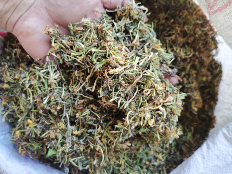 金银花，干货包邮，太阳晒干