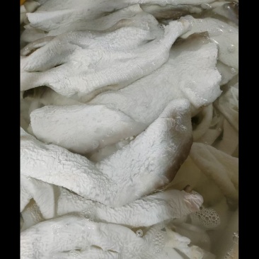 鲨鱼皮，螺片……