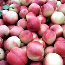 城固县万亩油桃已成熟上市。质量好，口感好，产量大，耐运输