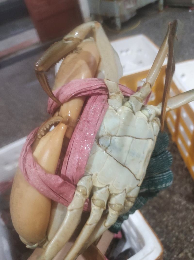 各种规格齐全，可对接酒店，火锅店
