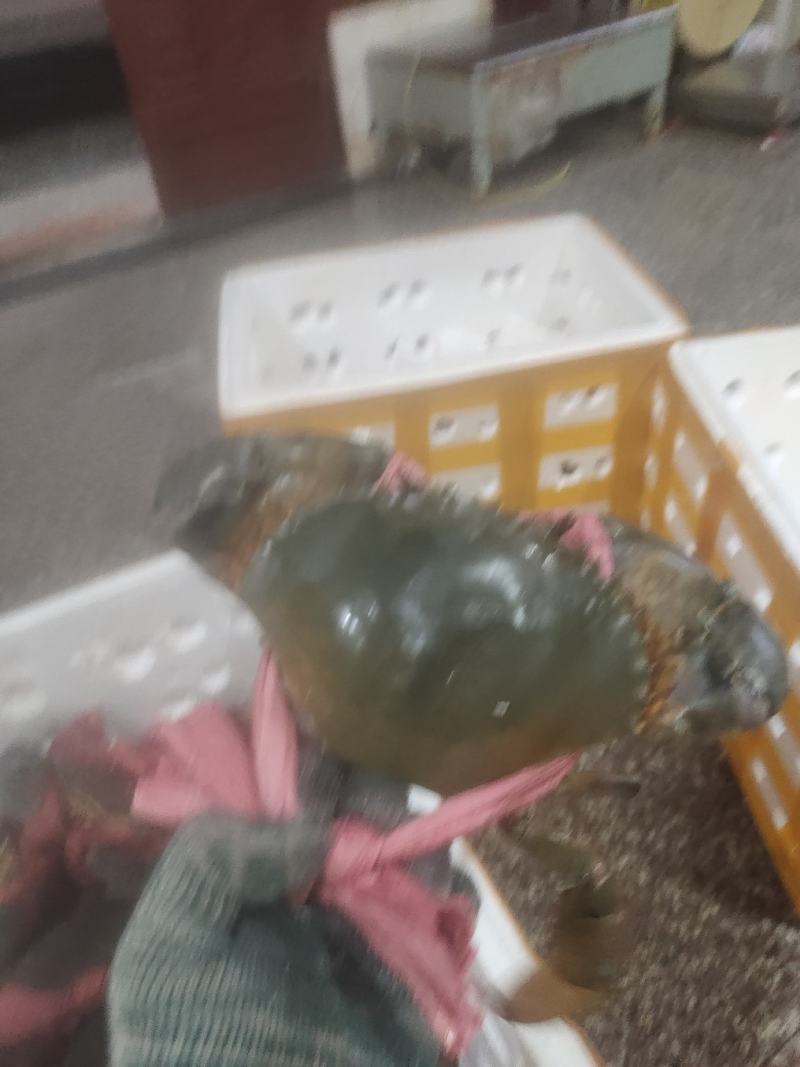 各种规格齐全，可对接酒店，火锅店