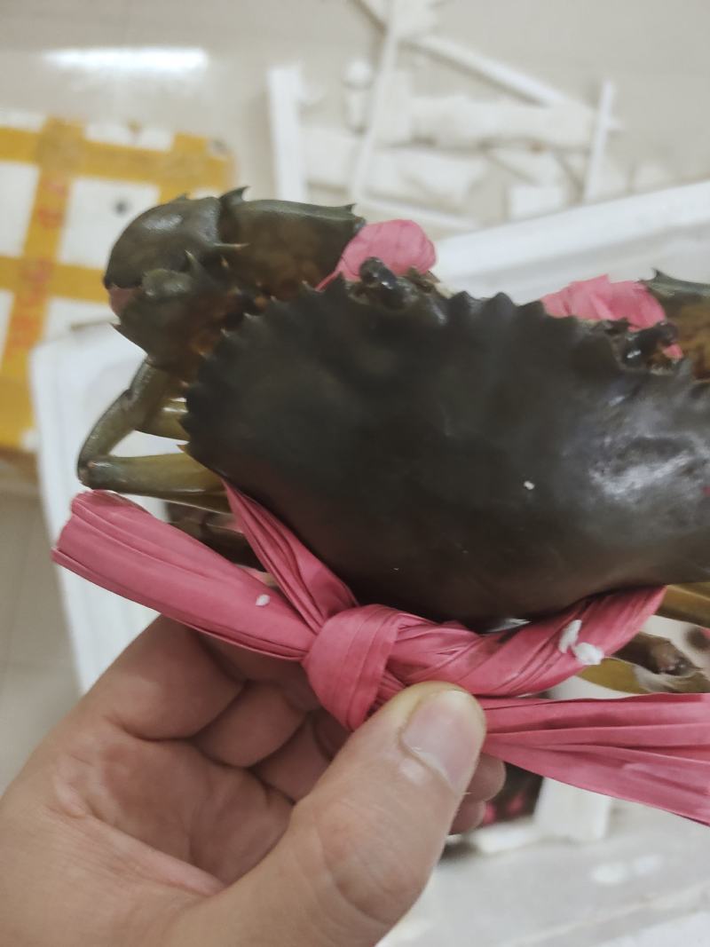 各种规格齐全，可对接酒店，火锅店