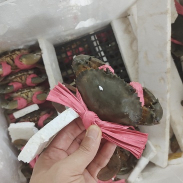 各种规格齐全，可对接酒店，火锅店